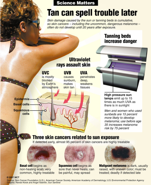 The Science Of Sun Tanning