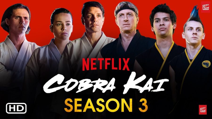 Cobra Kai Season 4: Netflix's Cobra Kai News, Cast, and