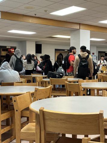 Students wait in a long line to get their lunch.