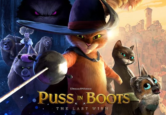 Puss in Boots was one of many cinema successes this year.